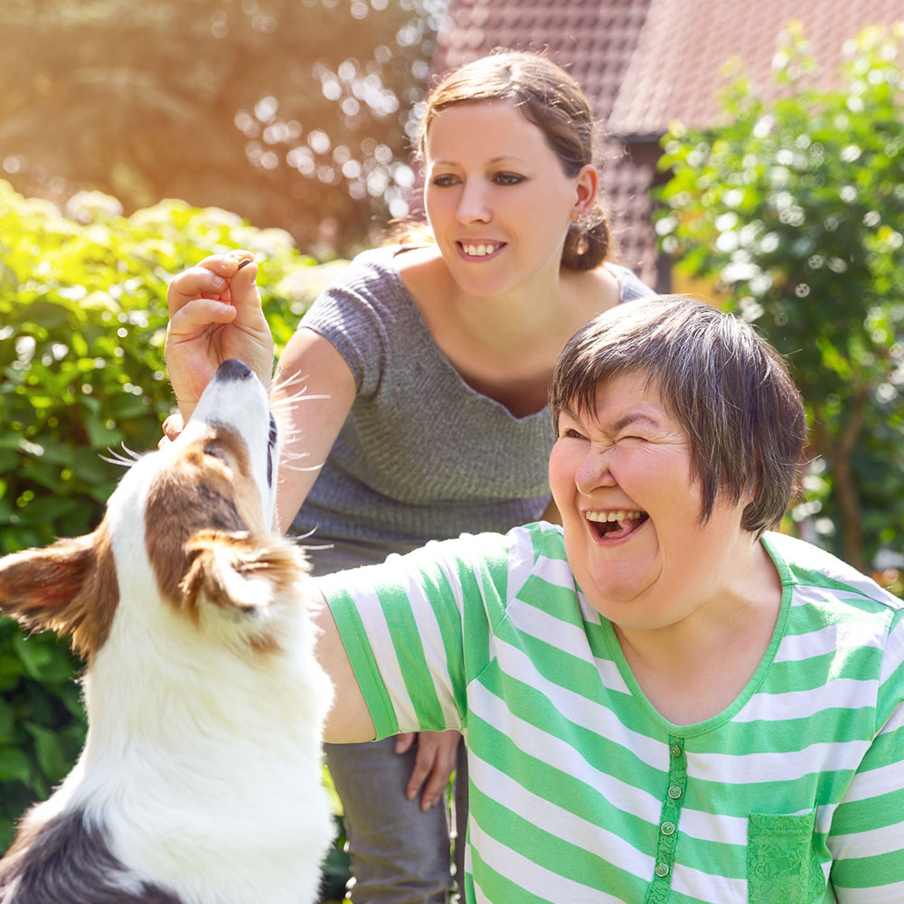 Photo of two ladies holding a treat up for a Collie-type dog.