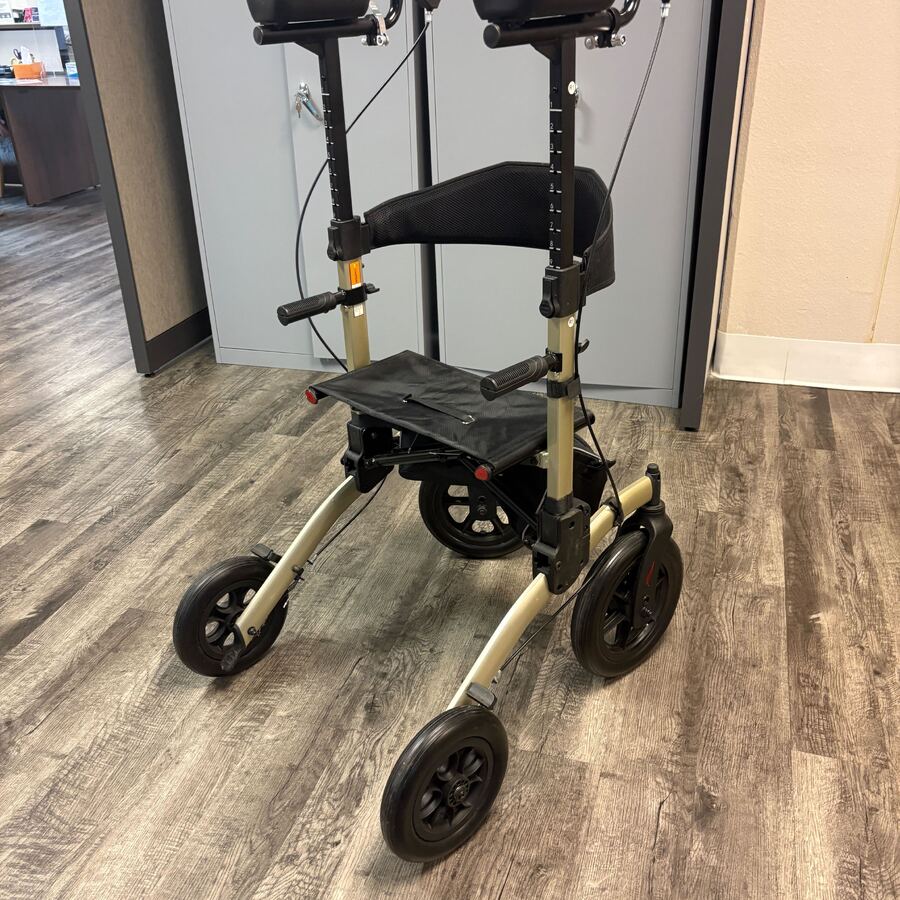 Photo of Upright Walker #1.